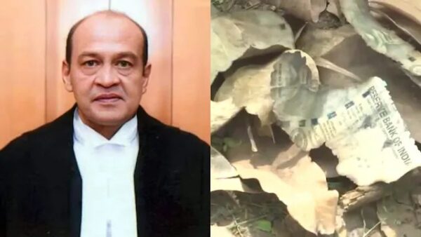 जस्टिस यशवंत वर्मा के घर के पास मिले जले हुए नोटों के टुकड़े, सामने आया एक और सनसनीखेज वीडियो