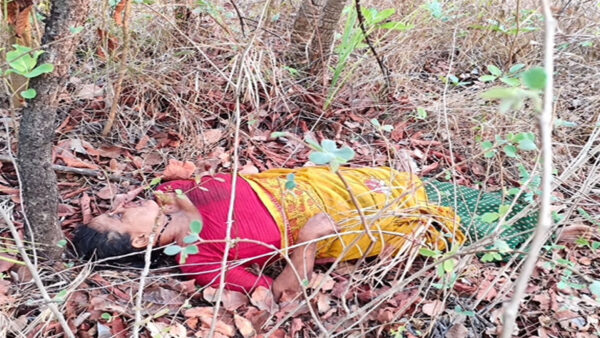 चंद्रपुर: बाघिन के हमले में एक ही परिवार की तीन महिलाओं की मौत, सिंदेवाही के मेंढा-माल गांव में मचा हड़कंप