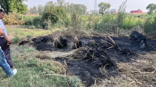 UP Crime: खेत में अधजले कंकाल मिलने से सनसनी, 24 दिन से लापता था उमाशंकर; परिजनों की थ्योरी पर पुलिस को शक