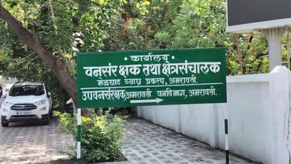अमरावती: वन परिक्षेत्र अधिकारियों के तबादलों में 50 लाख का घोटाला? वायरल हुई ऑडियो क्लिप, वन मंत्री को शिकायत