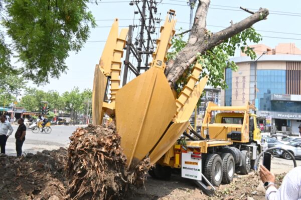 नागपुर: 84 साल पुराने पेड़ का सफल प्रत्यारोपण, पर्यावरण संरक्षण की दिशा में मनपा का अनोखा प्रयास