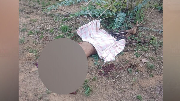 चंद्रपुर: जंगली हाथी के हमले में एक व्यक्ति की मौत, गांव में दहशत का माहौल