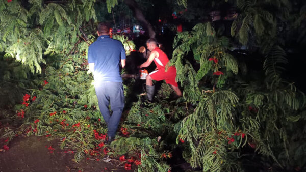 Nagpur Monsoon Havoc: पहली बारिश में शहर बेहाल, कई इलाकों में पेड़ गिरे, 32.2 मिमी वर्षा दर्ज