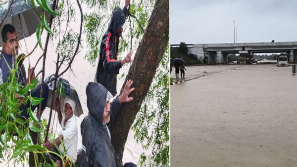 बुलढाणा में मूसलधार बारिश से बाढ़ का कहर: समृद्धि राजमार्ग जलमग्न, पांच लोग पेड़ पर फंसे