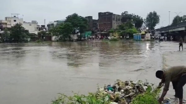 अमरावती में भारी बारिश का कहर: 2,224 हेक्टेयर फसलें तबाह, 89 मकान ढहे, एक बच्चे समेत 6 मवेशियों की मौत