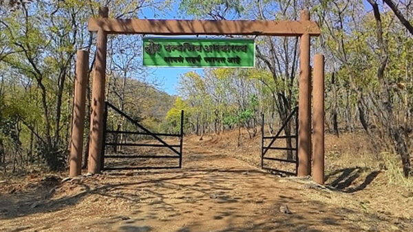 बोर टाइगर रिजर्व विस्तार को मंजूरी: 2,328 हेक्टेयर नया क्षेत्र जोड़ा जाएगा, 1,122 परिवारों को मिलेगा 15-15 लाख रुपये मुआवज़ा