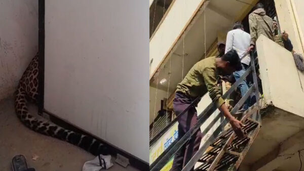 “नागपुर के भांडेवाडी परिसर में घर में घुसा तेंदुआ, हड़कंप मचने के बाद वन विभाग ने बड़ी मशक्कत के बाद पकड़ा”